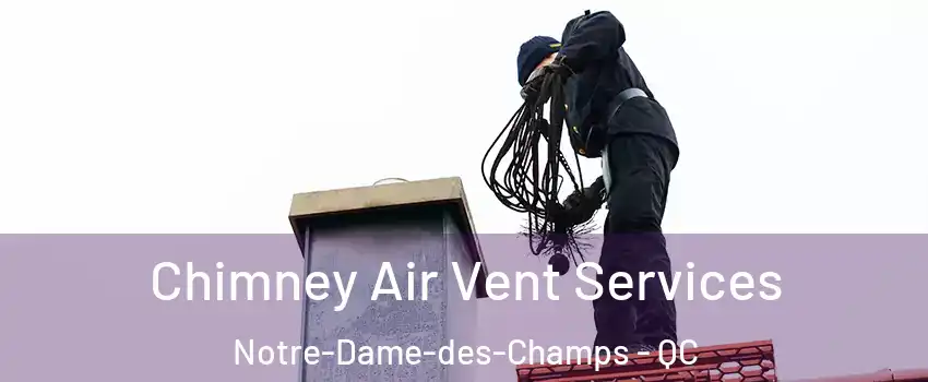  Chimney Air Vent Services Notre-Dame-des-Champs - QC
