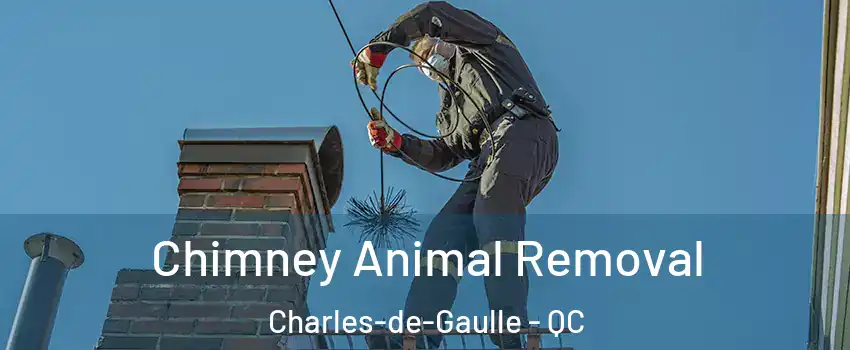 Chimney Animal Removal Charles-de-Gaulle - QC