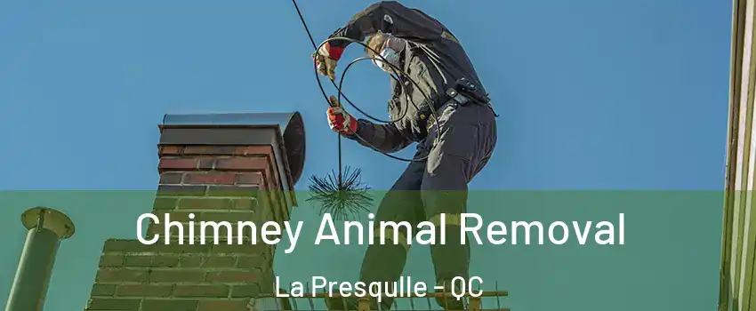 Chimney Animal Removal La Presqulle - QC