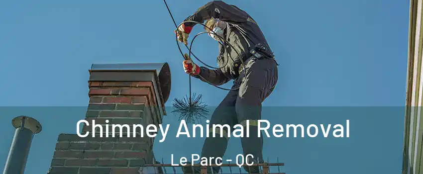 Chimney Animal Removal Le Parc - QC