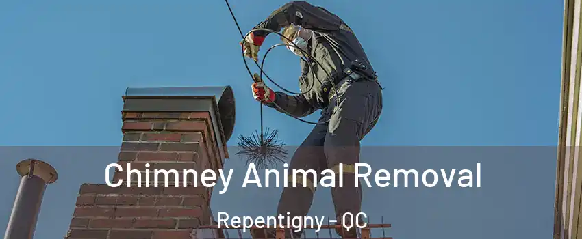 Chimney Animal Removal Repentigny - QC