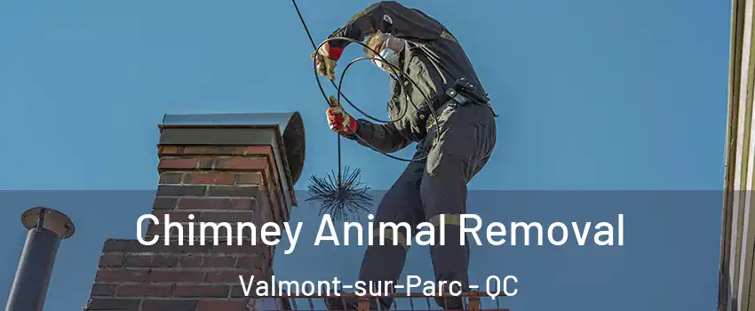 Chimney Animal Removal Valmont-sur-Parc - QC