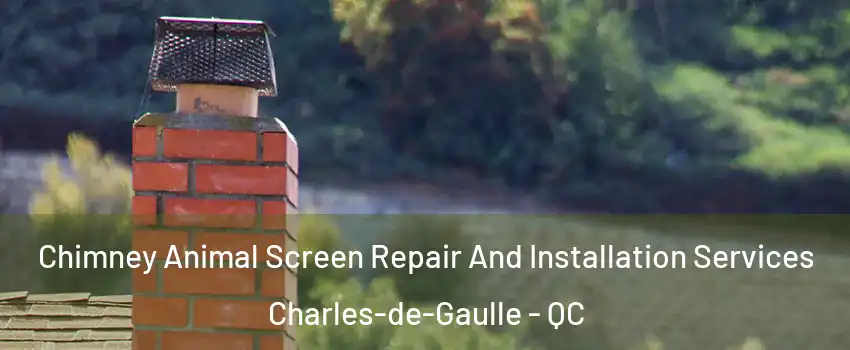  Chimney Animal Screen Repair And Installation Services Charles-de-Gaulle - QC