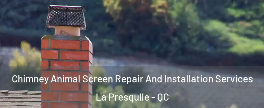 Chimney Animal Screen Repair And Installation Services La Presqulle - QC