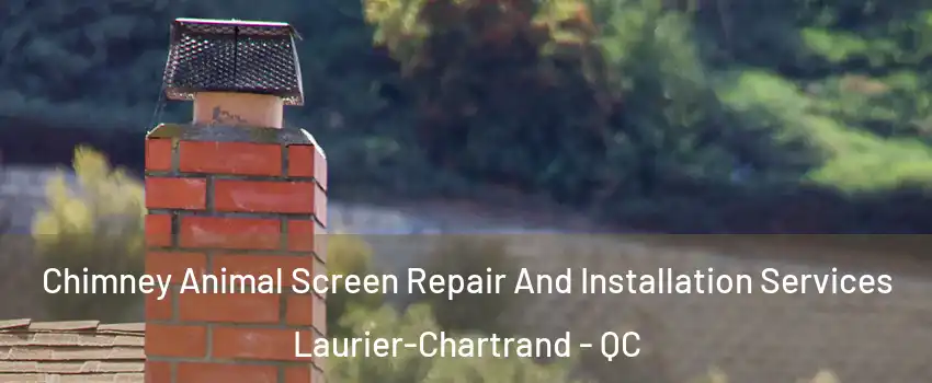  Chimney Animal Screen Repair And Installation Services Laurier-Chartrand - QC