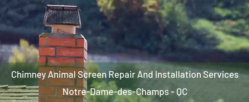  Chimney Animal Screen Repair And Installation Services Notre-Dame-des-Champs - QC