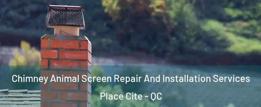  Chimney Animal Screen Repair And Installation Services Place Cite - QC