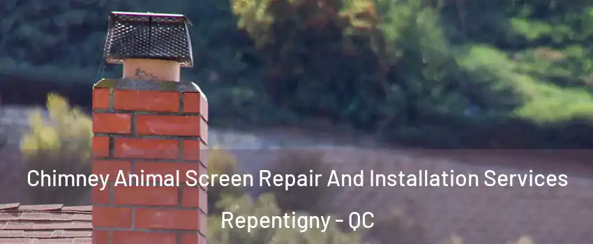  Chimney Animal Screen Repair And Installation Services Repentigny - QC