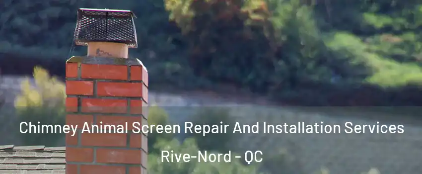  Chimney Animal Screen Repair And Installation Services Rive-Nord - QC