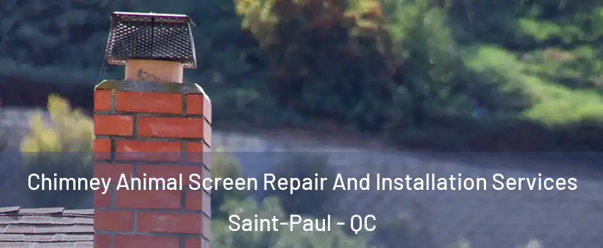  Chimney Animal Screen Repair And Installation Services Saint-Paul - QC