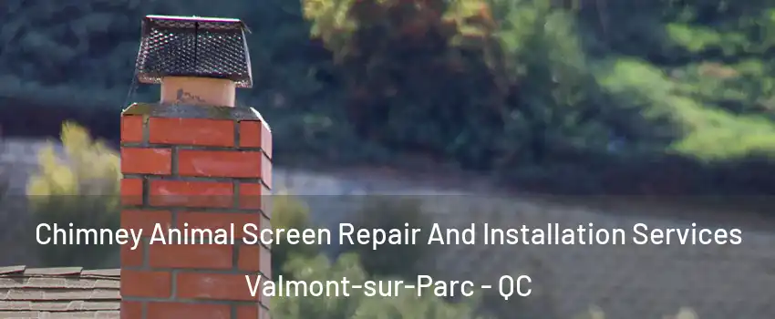  Chimney Animal Screen Repair And Installation Services Valmont-sur-Parc - QC
