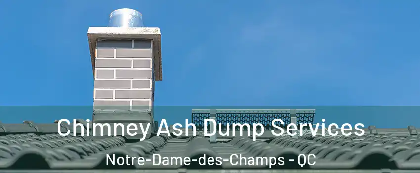  Chimney Ash Dump Services Notre-Dame-des-Champs - QC