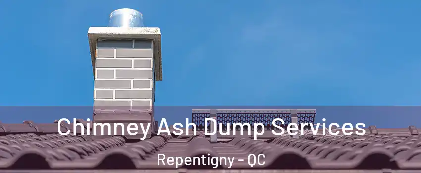  Chimney Ash Dump Services Repentigny - QC