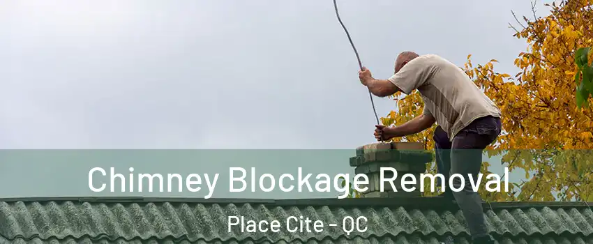  Chimney Blockage Removal Place Cite - QC