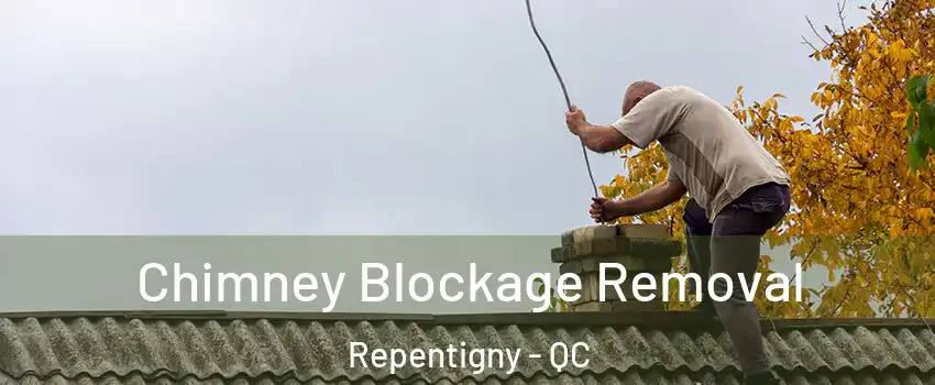  Chimney Blockage Removal Repentigny - QC