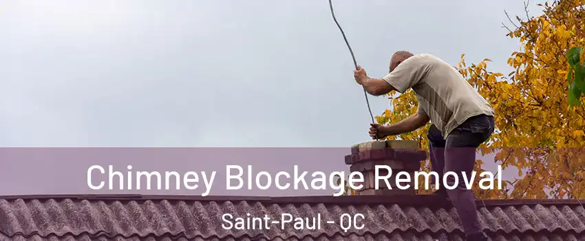  Chimney Blockage Removal Saint-Paul - QC