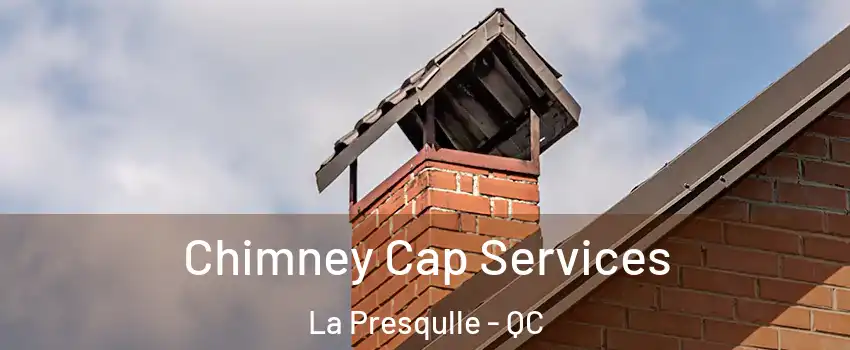  Chimney Cap Services La Presqulle - QC