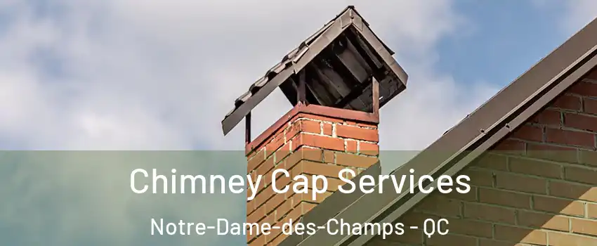  Chimney Cap Services Notre-Dame-des-Champs - QC