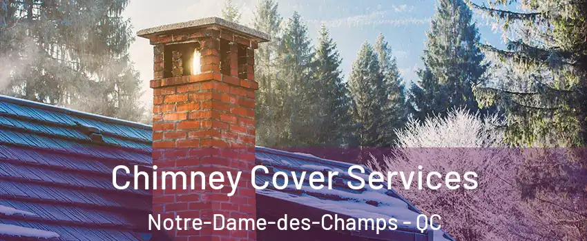  Chimney Cover Services Notre-Dame-des-Champs - QC