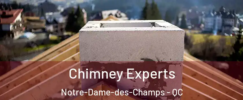 Chimney Experts Notre-Dame-des-Champs - QC