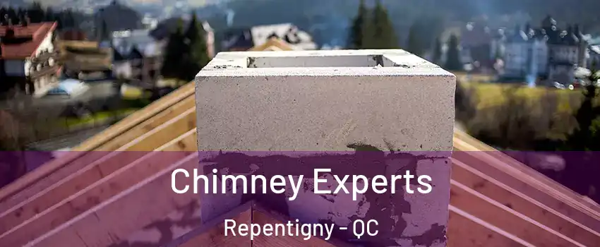 Chimney Experts Repentigny - QC