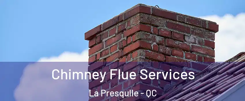  Chimney Flue Services La Presqulle - QC