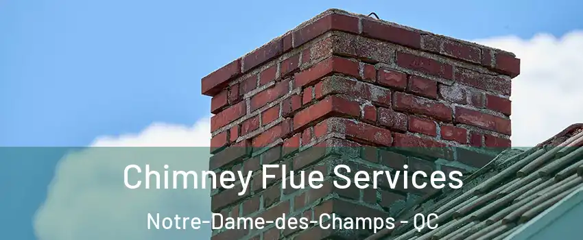  Chimney Flue Services Notre-Dame-des-Champs - QC
