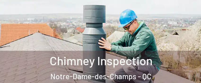  Chimney Inspection Notre-Dame-des-Champs - QC