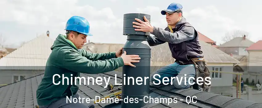  Chimney Liner Services Notre-Dame-des-Champs - QC