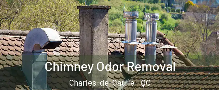  Chimney Odor Removal Charles-de-Gaulle - QC