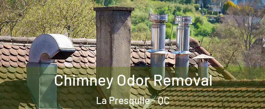  Chimney Odor Removal La Presqulle - QC