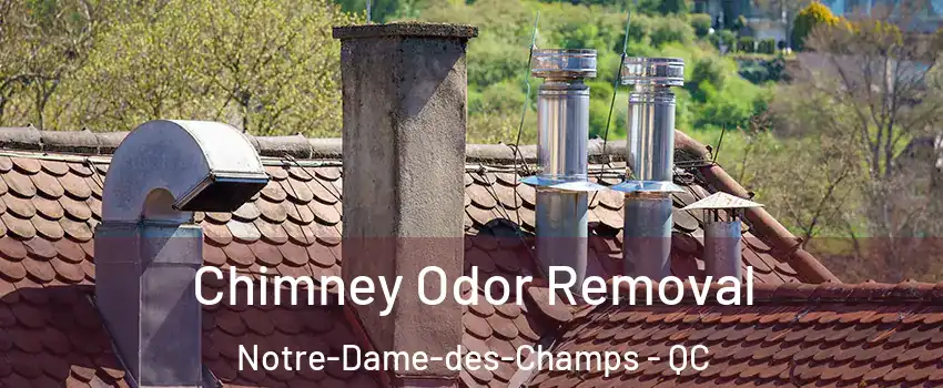  Chimney Odor Removal Notre-Dame-des-Champs - QC