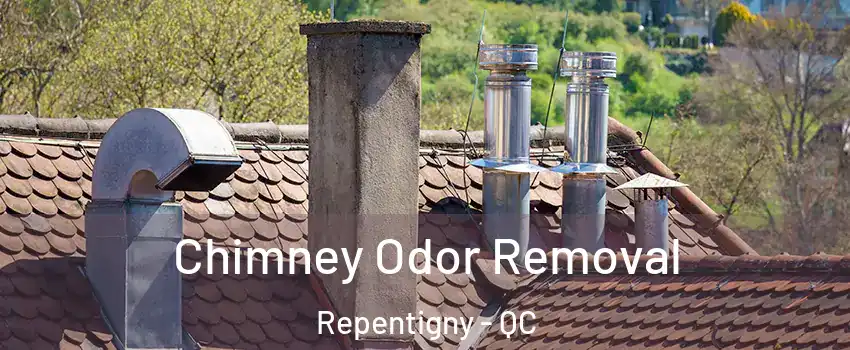  Chimney Odor Removal Repentigny - QC