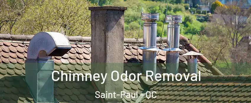  Chimney Odor Removal Saint-Paul - QC