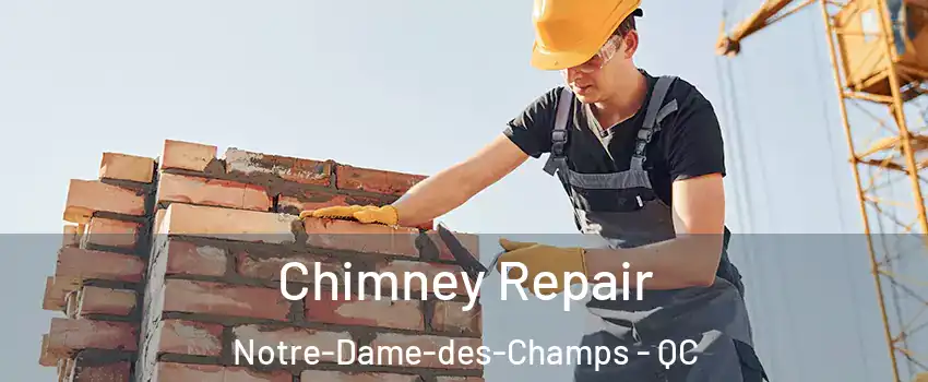  Chimney Repair Notre-Dame-des-Champs - QC
