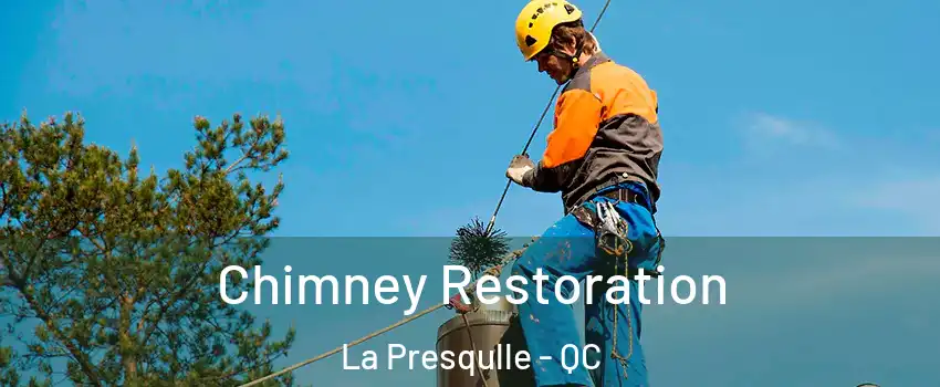  Chimney Restoration La Presqulle - QC