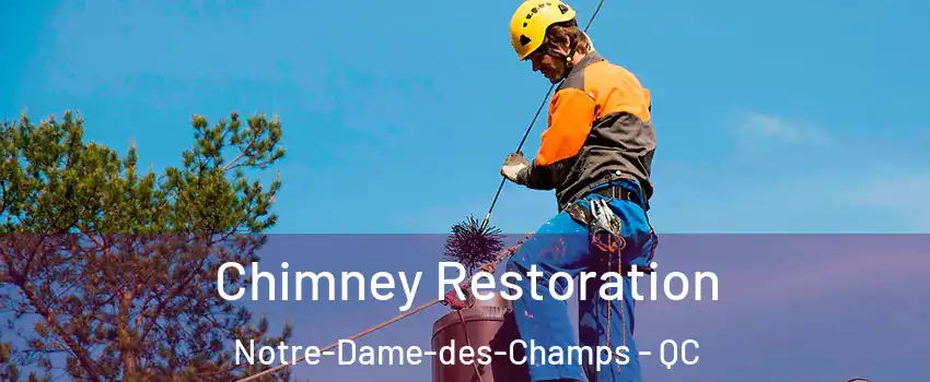  Chimney Restoration Notre-Dame-des-Champs - QC