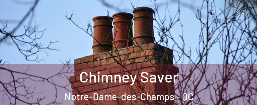  Chimney Saver Notre-Dame-des-Champs - QC