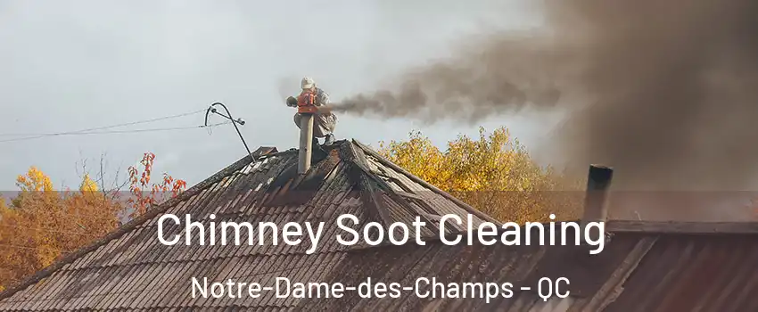  Chimney Soot Cleaning Notre-Dame-des-Champs - QC