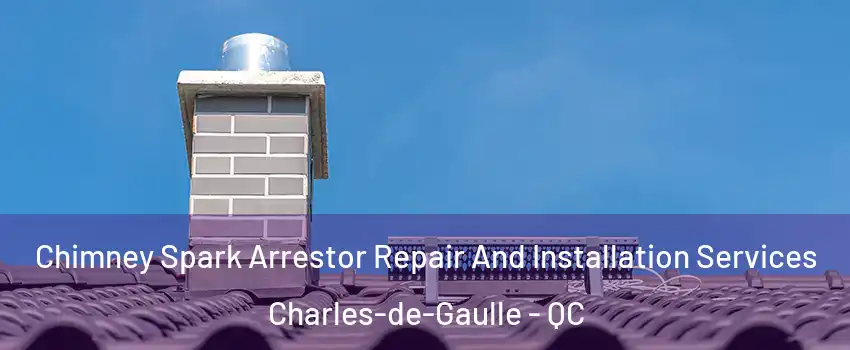  Chimney Spark Arrestor Repair And Installation Services Charles-de-Gaulle - QC