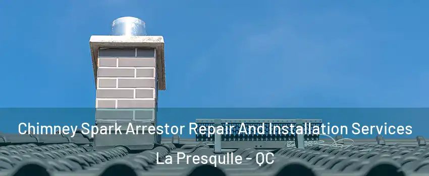  Chimney Spark Arrestor Repair And Installation Services La Presqulle - QC
