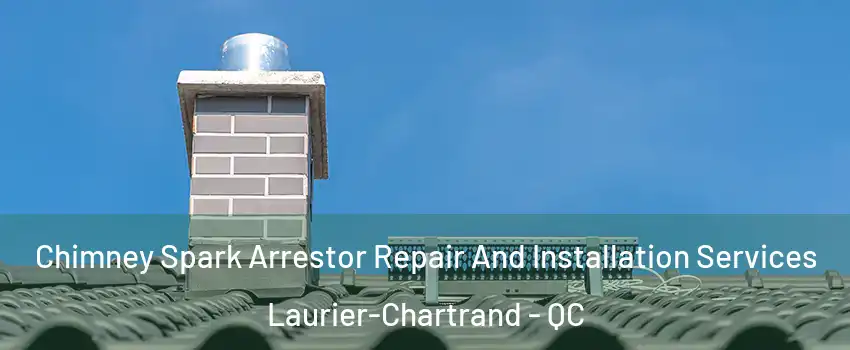  Chimney Spark Arrestor Repair And Installation Services Laurier-Chartrand - QC
