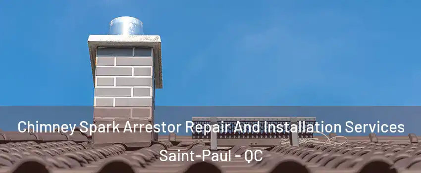  Chimney Spark Arrestor Repair And Installation Services Saint-Paul - QC