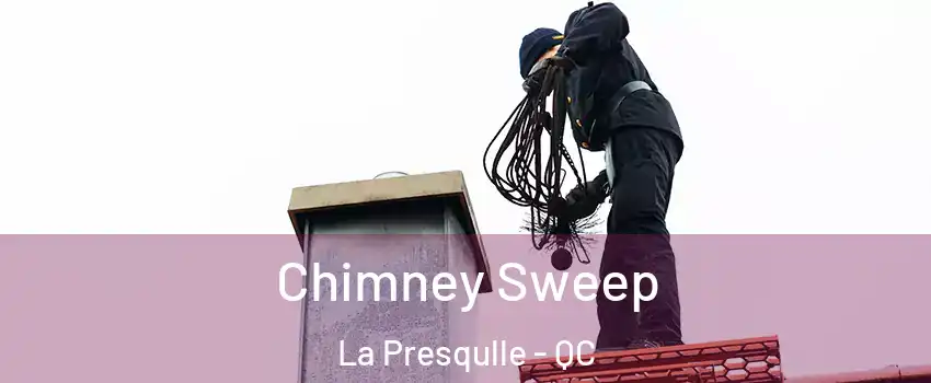  Chimney Sweep La Presqulle - QC
