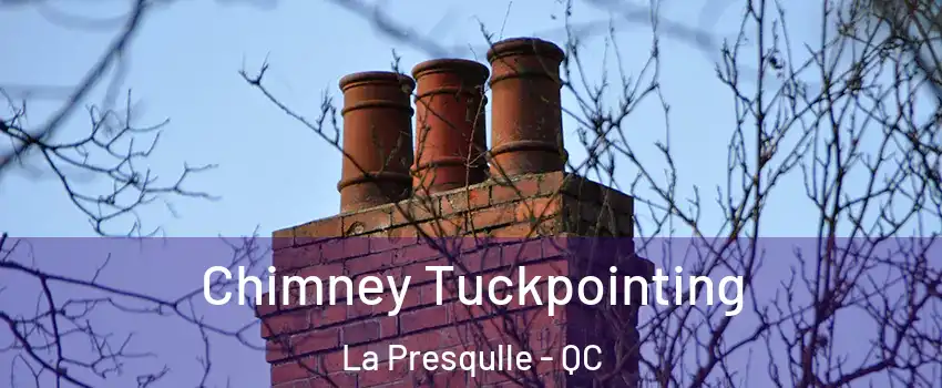  Chimney Tuckpointing La Presqulle - QC