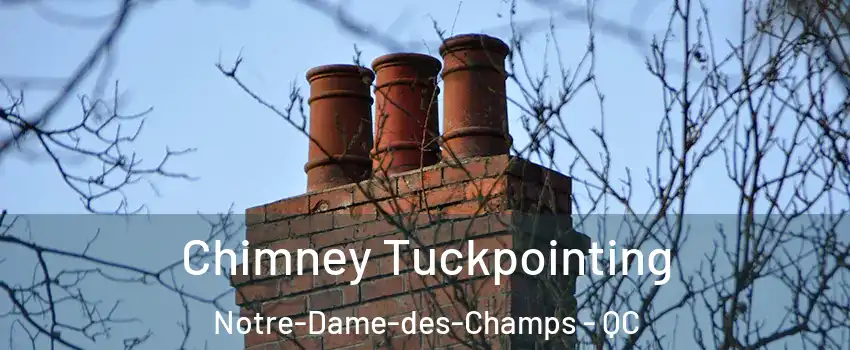  Chimney Tuckpointing Notre-Dame-des-Champs - QC