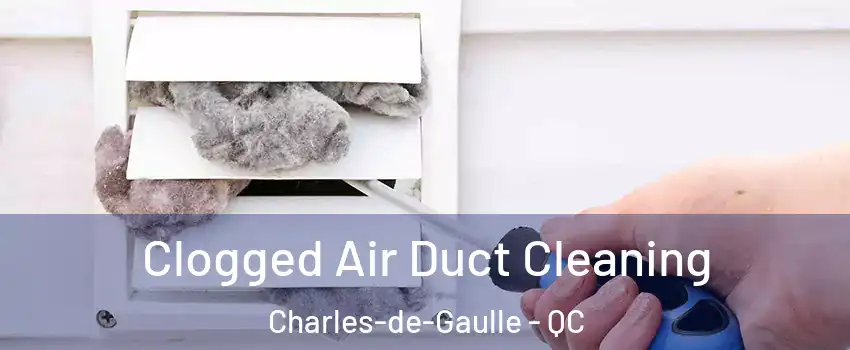  Clogged Air Duct Cleaning Charles-de-Gaulle - QC