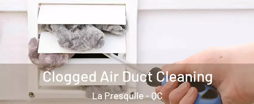  Clogged Air Duct Cleaning La Presqulle - QC