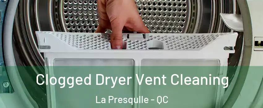  Clogged Dryer Vent Cleaning La Presqulle - QC