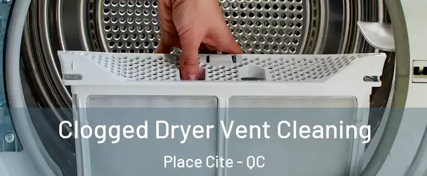  Clogged Dryer Vent Cleaning Place Cite - QC